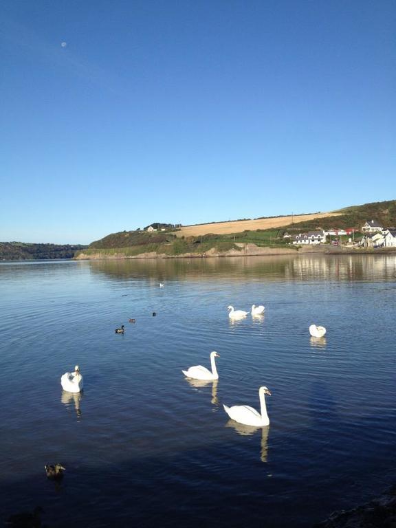 Marsh Mere Lodge Arthurstown エクステリア 写真